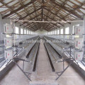 layer poultry farming equipment battery design chicken cage